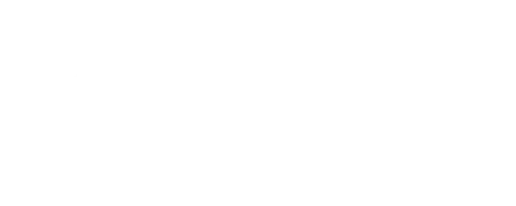 SynotTip